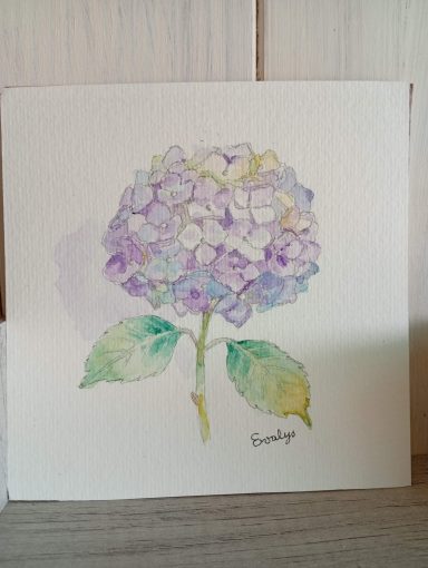 Hortensia