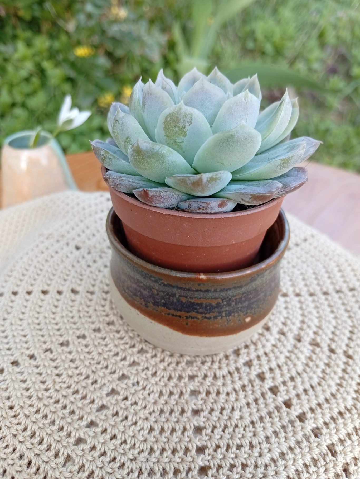Cache-pot mini Ecorce