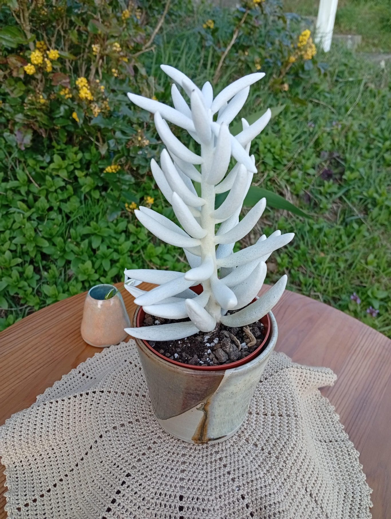 Cache-pot Sève