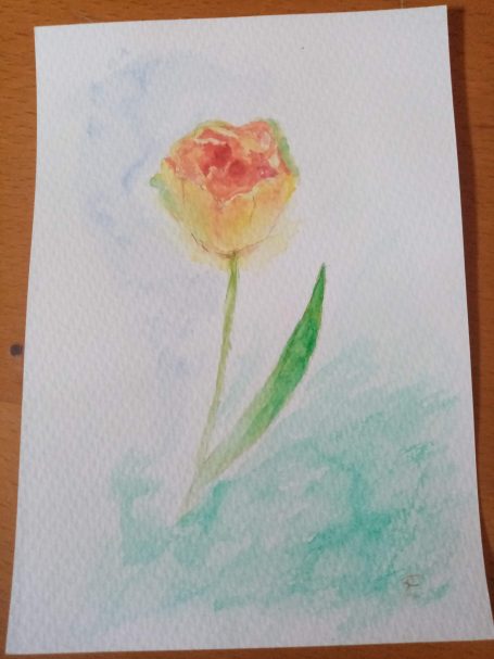 Tulipe - Aquarelle