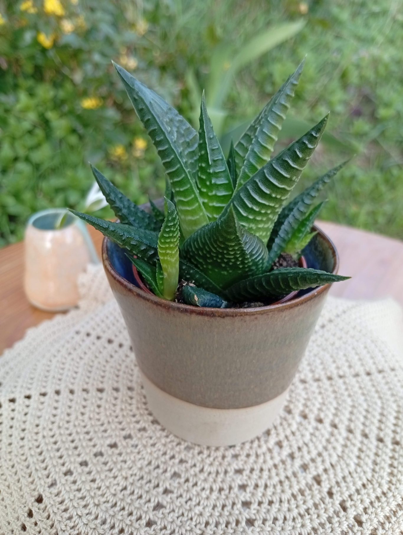 Cache-pot Ecorce