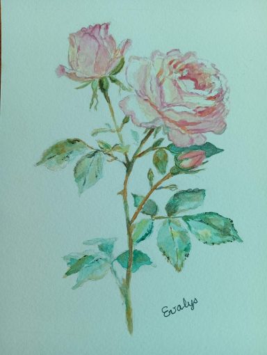 Roses