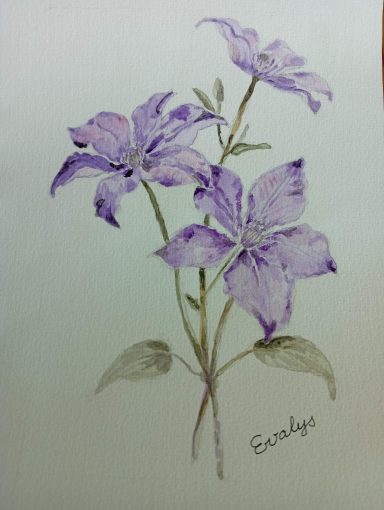 Clématites
