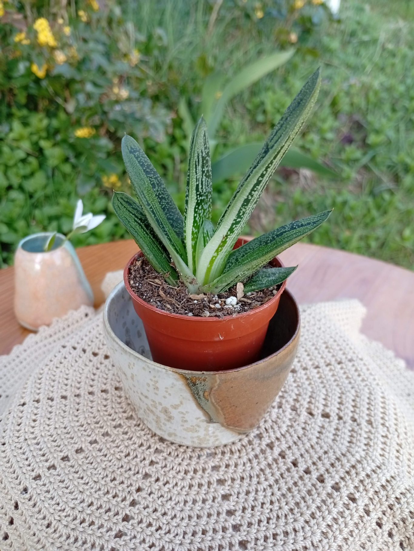 Cache-pot Sève