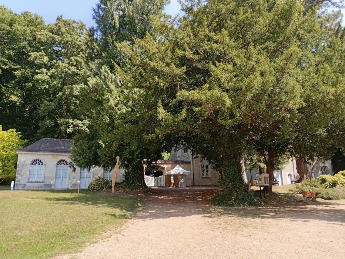 Communs du château derrière les arbres